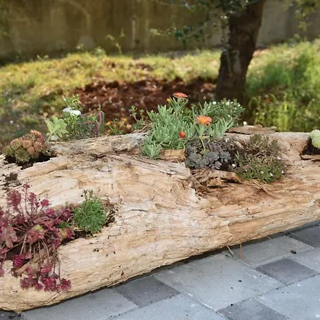 Κάμπινγκ Kamp Tonci Biograd Na Moru